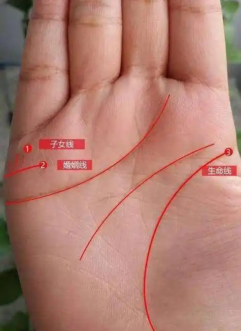 准不准_纹路_手相_生命线