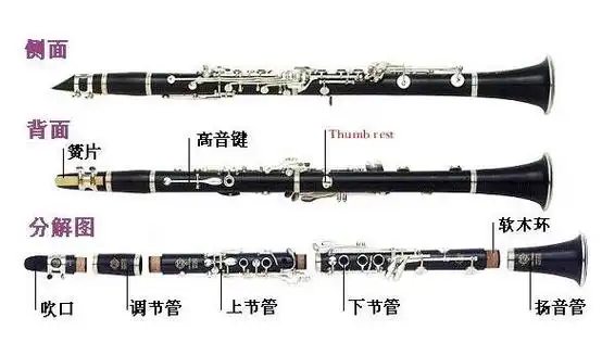 答:单簧管(黑管)主要由:笛头(吹口),连接管(调节管)