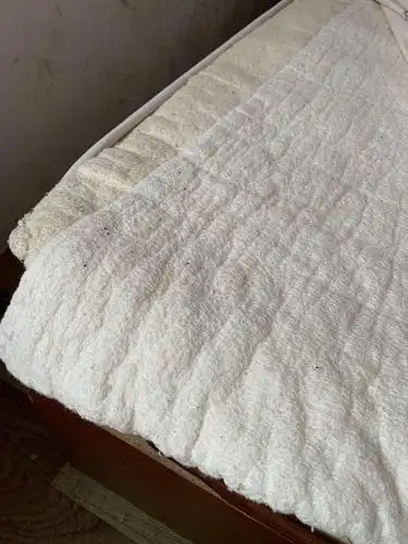 请各路大神帮我看看这是什么虫子?床单上棉絮上都是 家里有一只猫 有