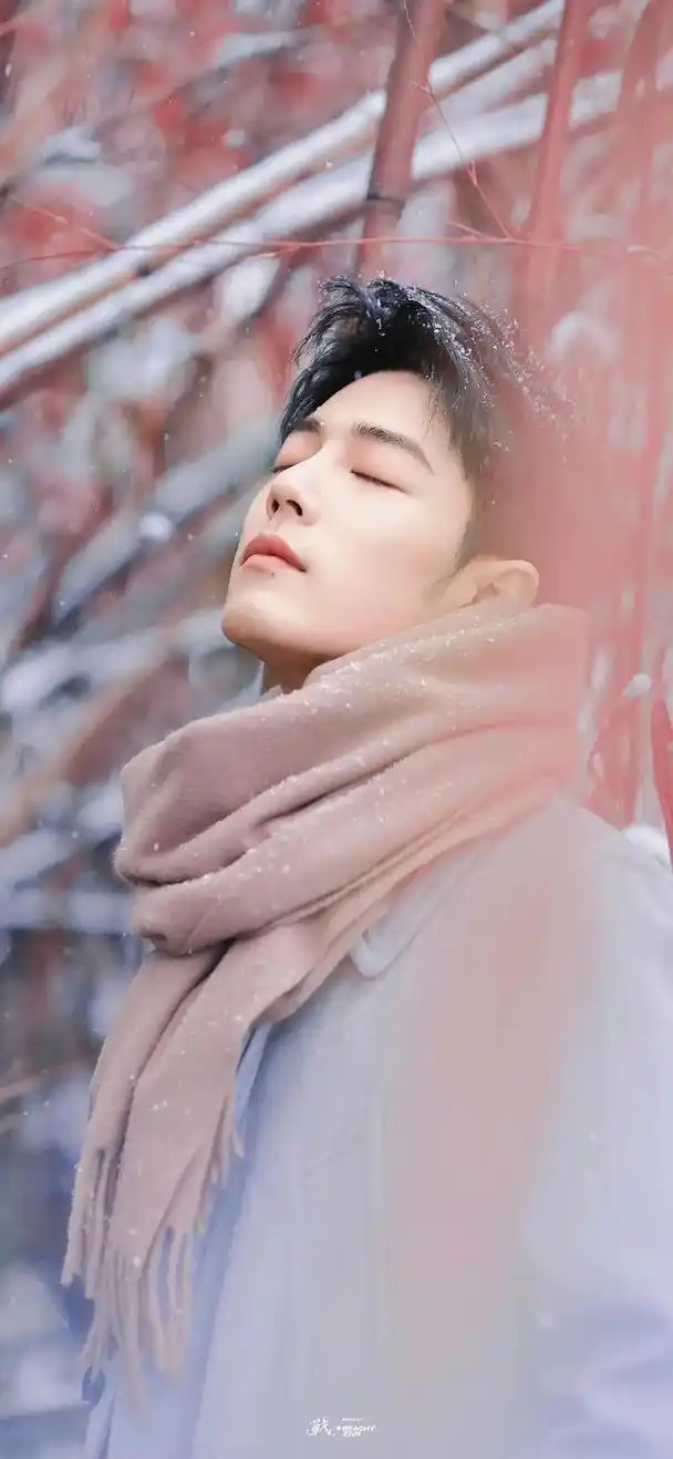 肖战壁纸,太帅了