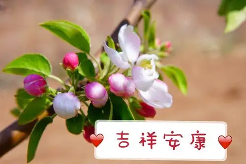 幸福安康!快乐吉祥!