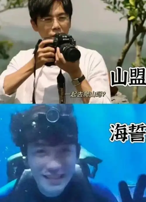 这8位男星,不劈腿,宠老婆,还长得帅,个个都对妻子百般呵护