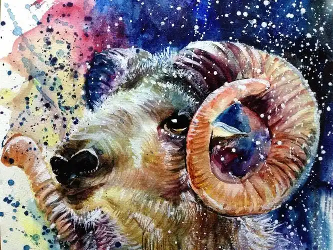 泼洒系列——《盘羊》(羊年)