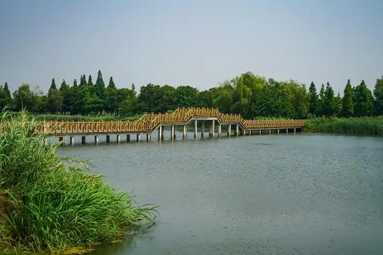 欢天喜地游溧阳长荡湖湿地公园