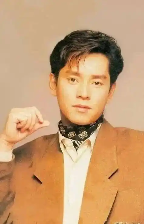 雨丝情愁,迟来的春天,龙虎兄弟, 假如我是真的等他中国香港男歌手