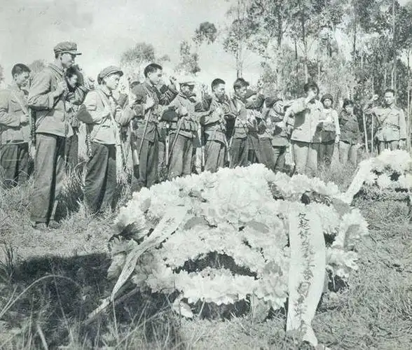 对越自卫反击战有多惨烈中越双方19天伤亡近10万