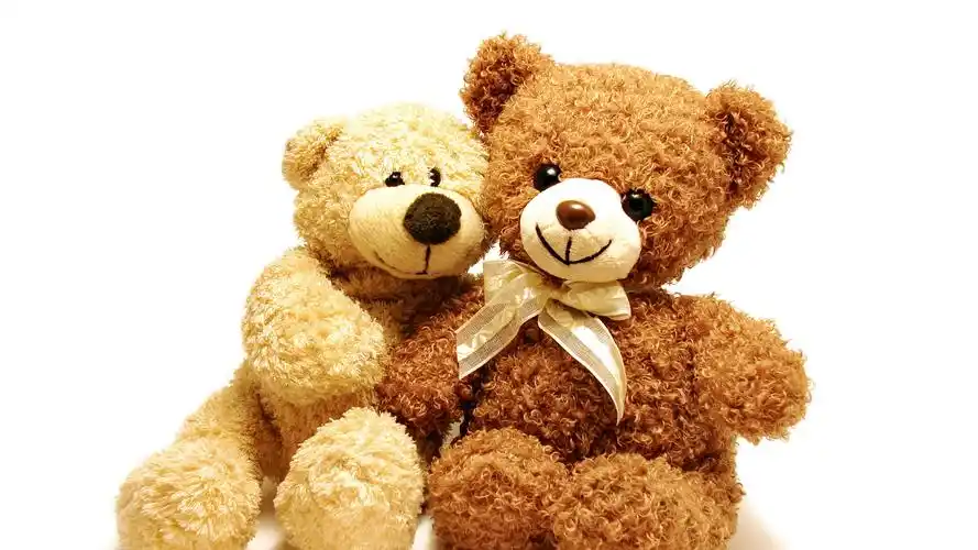 壁纸 两只玩具熊,泰迪熊
