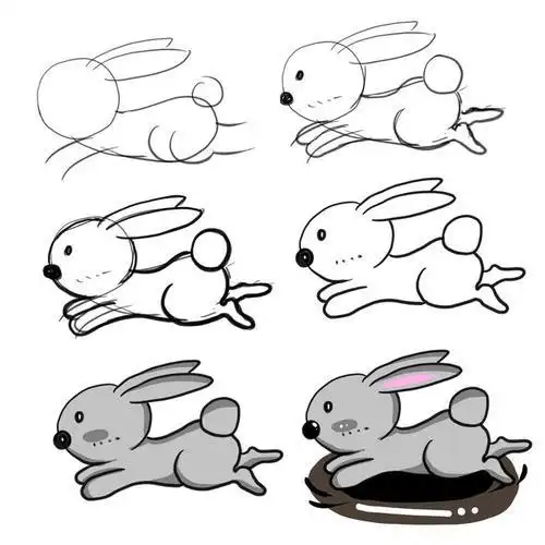 灰兔简笔画简单