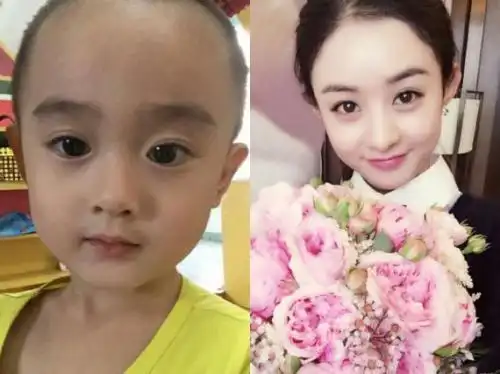 杨幂资料简介,关于杨幂的所有详细资料(6岁小男孩撞脸杨幂怎么回事)