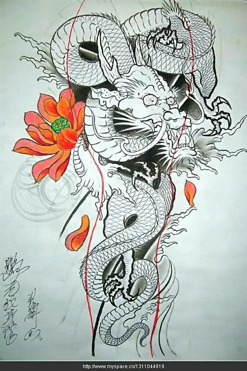 龙集|手稿-郑州天龙纹身工作室