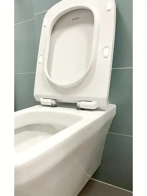 装修后悔事之②杜拉维特马桶避坑