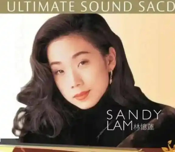 林忆莲_实力_氛围