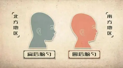 扁脑壳从小身边的同学老师邻居一律圆脑壳因为本编是个生活在南方的