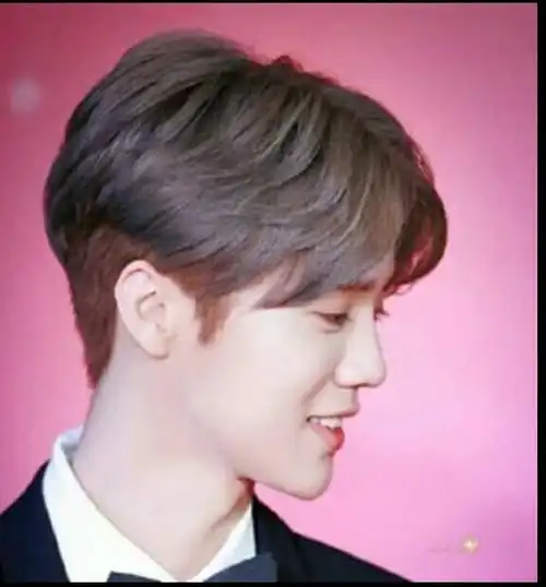 鹿晗的这种中分烫发叫什么?