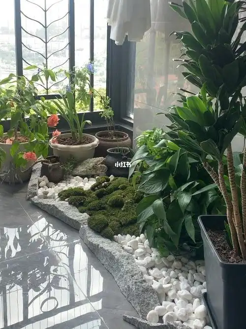 阳台小造景