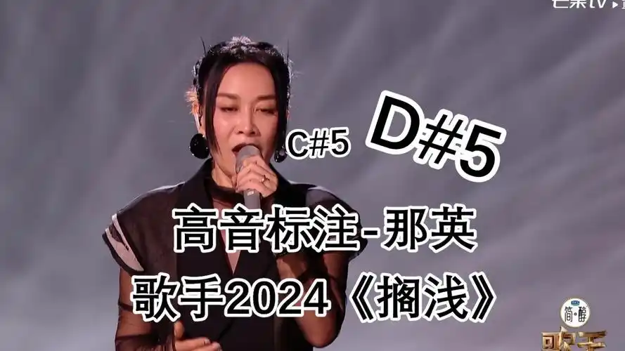 d#5一下致敬杨丞琳蒙面舞台,歌手2024 那英《搁浅》高音标注