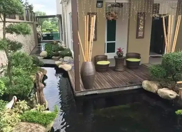 院子里的鱼池有哪些讲究