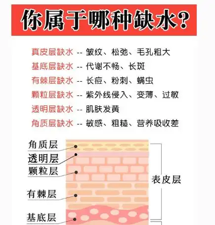 细胞_皮肤_水分