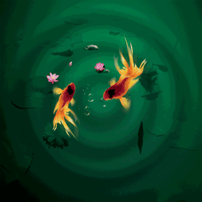 413_413gif 动态图 动图