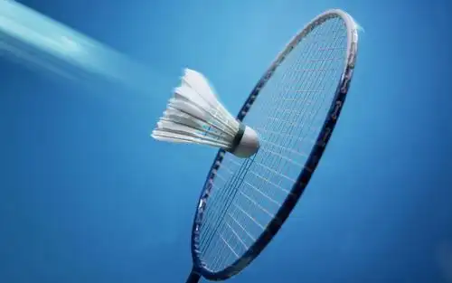 羽毛球