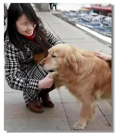 9年老狗被婆婆卖给狗肉店儿媳负气要堕胎门外竟突然传来狗叫