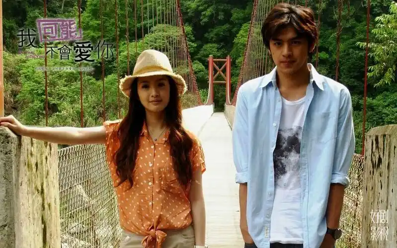 我可能不会爱你