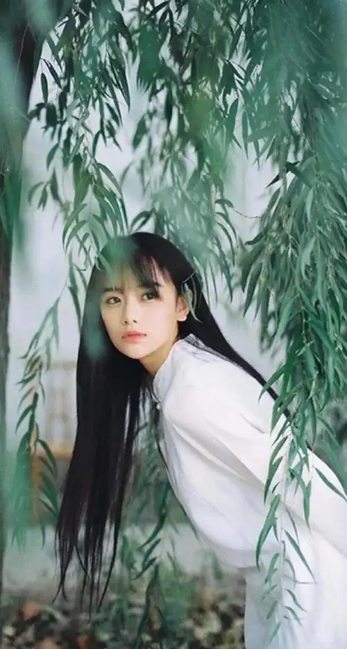 南笙恬静温婉宛如画中仙子