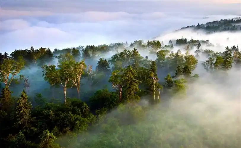 长白山森工集团八家子林业仙峰盛景——雪岭夏季