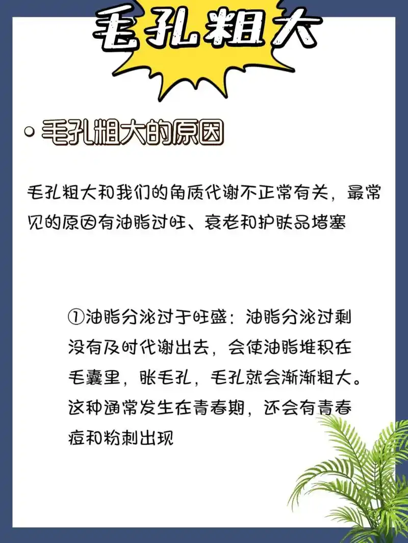 护肤 #皮肤管理 #知识分享 #毛孔粗大  收缩毛孔指南, - 抖音