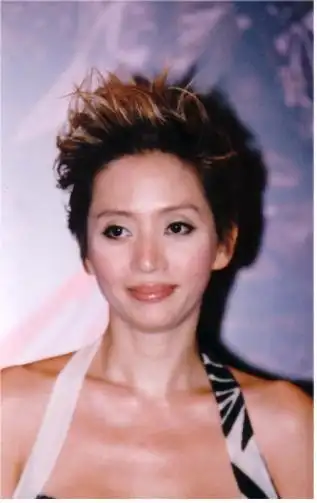 p>梅艳芳(1963年10月10日—2003年12月30日),出生于中国香港,祖籍