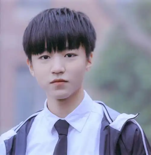 王俊凯头像二传注明堆糖宋辞城