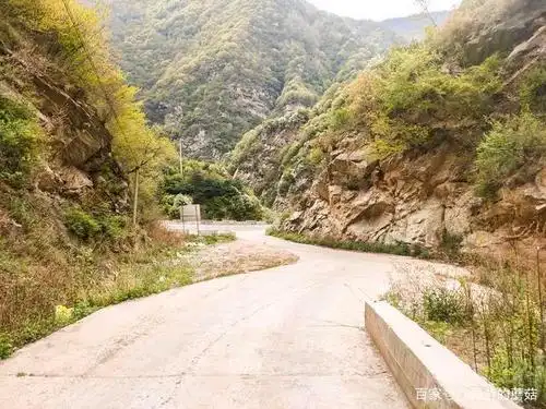 看牛羊成群的高山草甸 蓝田流峪寺穿越