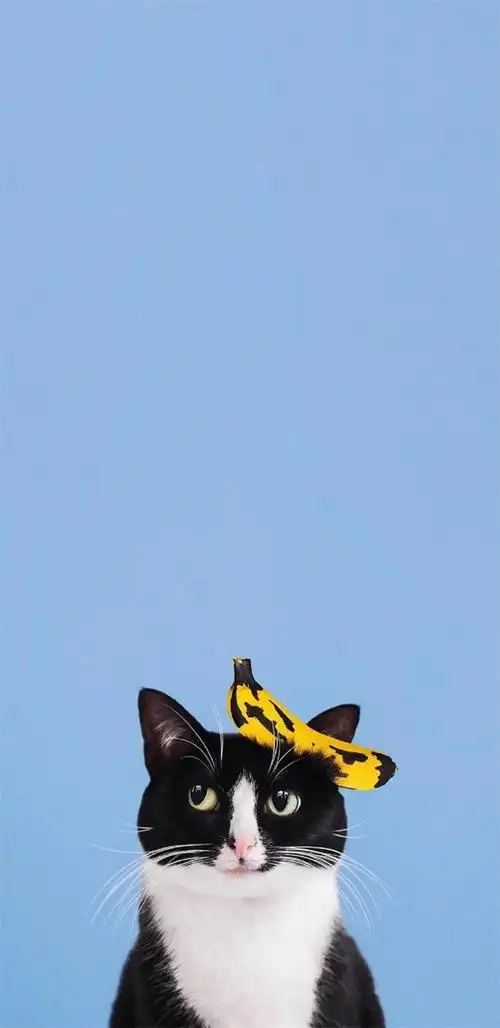 2020抖音最火手机壁纸抖音最火2020背景图片