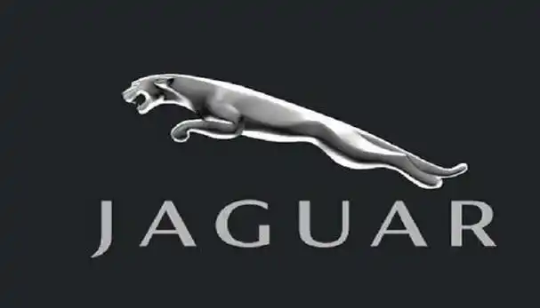 1,捷豹汽车以豹子为车标,其设计灵感源于一只生动跳跃的美洲豹雕像