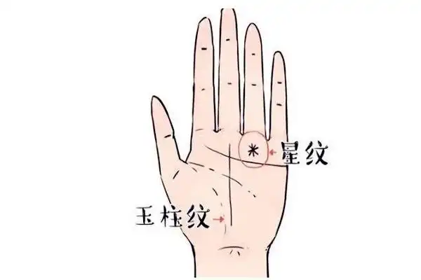 广地居士讲手相:第2章,三种钱财纹