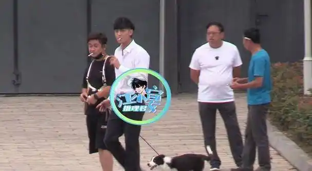 黄子韬带爱犬ace"上班"片场边抽烟边遛狗好惬意_部手机_白色_照片