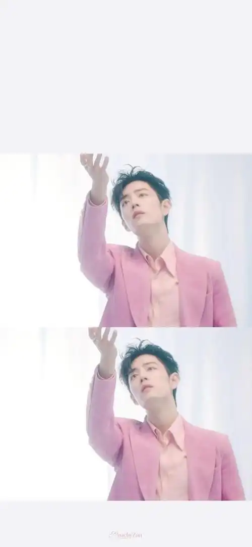 肖战粉色西服图片爱了爱了