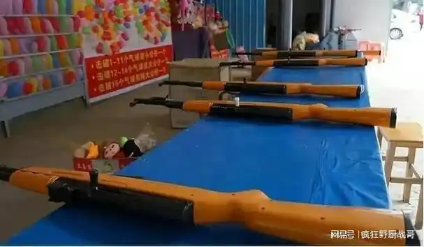 回顾:天津一老太摆摊打气球被判3年,老太:请用我的枪把我打死