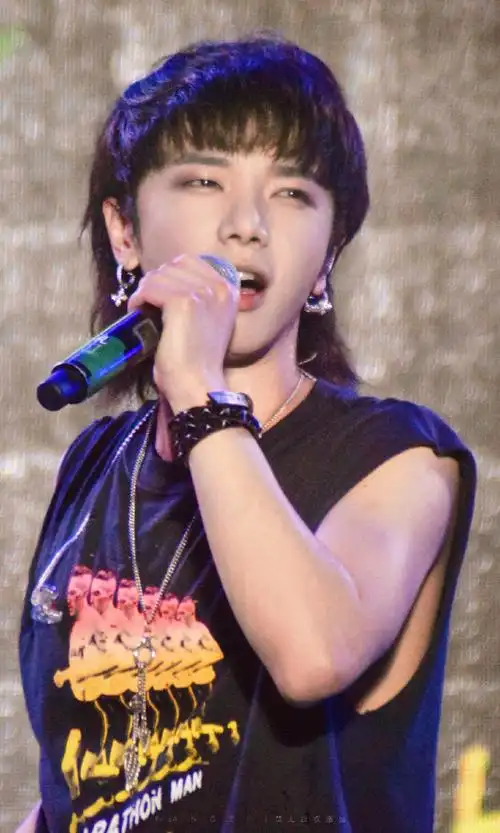 华晨宇美貌大赏#炸粉做一点点卷饭0099@华晨宇yu313035