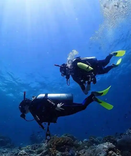 跃入海底 融入深蓝_潜水_活动_鱼儿