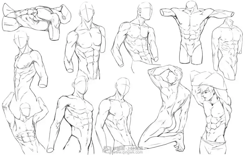 人体的脖颈肌肉结构分析