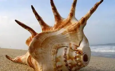 鬼见怕的图片_你问我答网