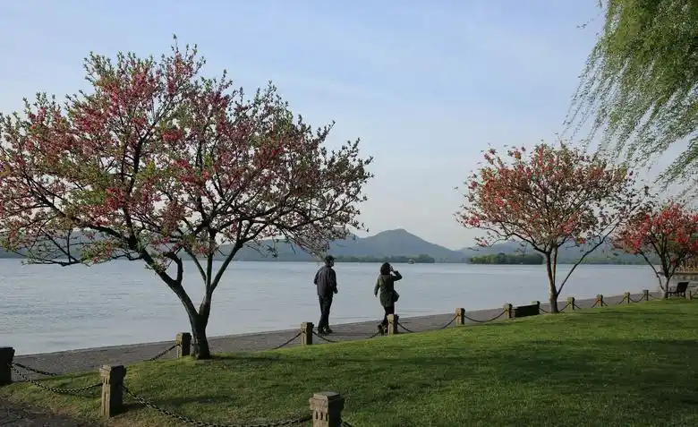 白堤桃花红-风景照-19摄区-杭州19楼