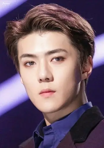 边伯贤的高冷萌妻