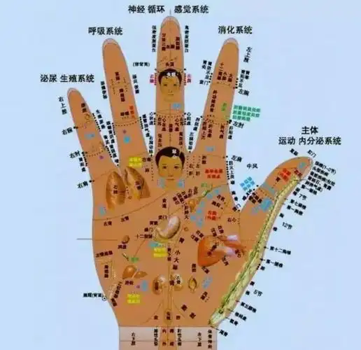 全了!手诊,面相,眼相,嘴相