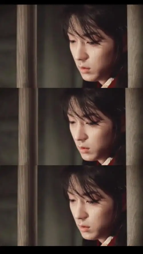 果然好看的男孩子都是雌雄难辨的.难怪君王为了他可以不爱后宫佳丽