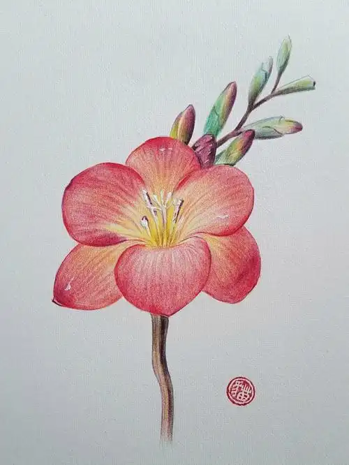 画画 #的日常 #我的绘画成长史  #寻找小红书绘画大神  #彩铅教程