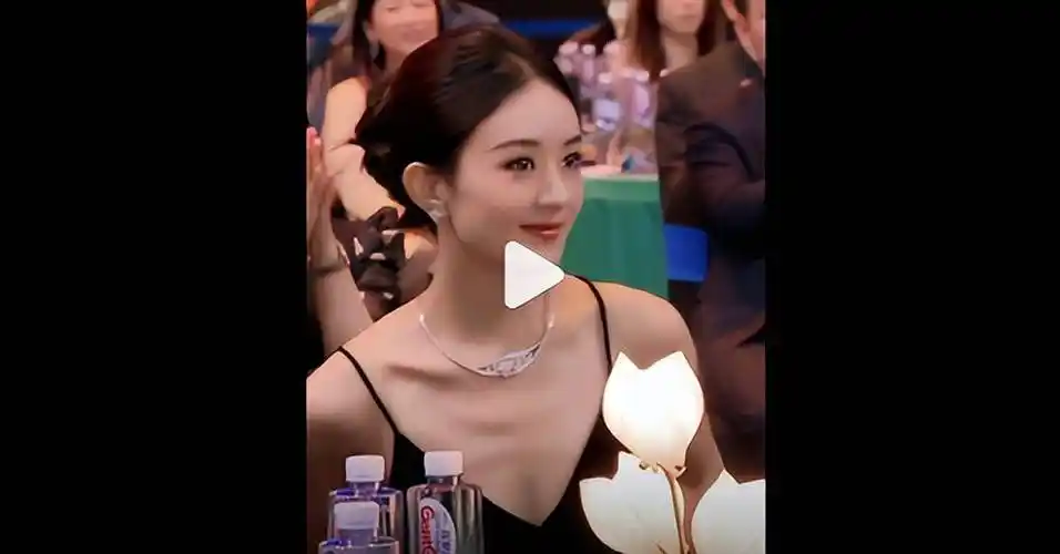 作为理事会的新成员参与投票_中国视协_佟丽娅_刘涛