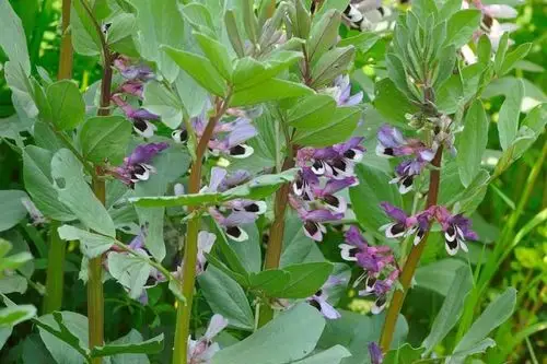 我2003年的诗歌(自选10首) - 美篇