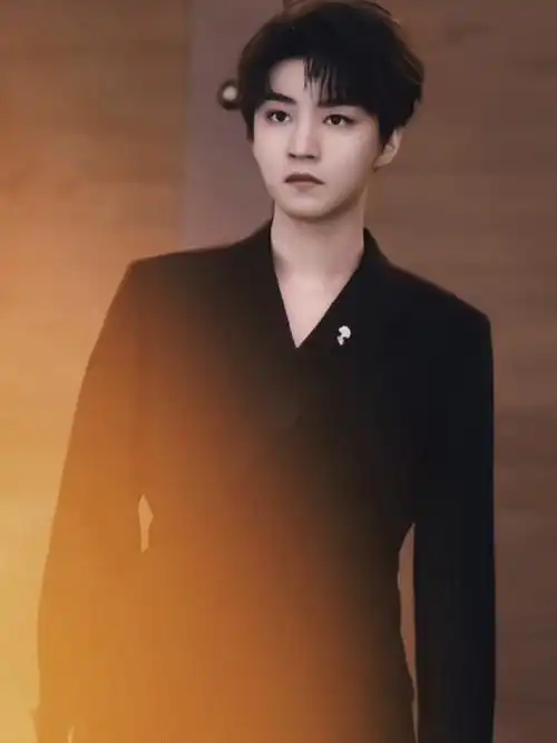 陪王俊凯奔赴每一个十年##tfboys演唱会售票简介